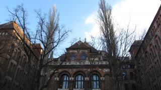 IMG_2778.JPG
