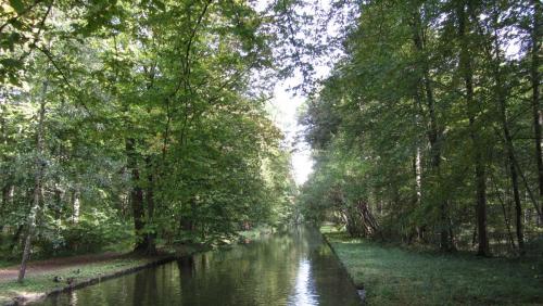 IMG_6287.JPG