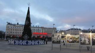 IMG_4636.JPG