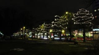 IMG_4715.JPG