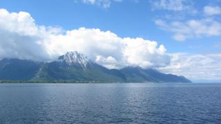 IMG_7585.JPG