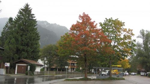 IMG_4473.JPG