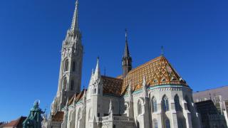 IMG_2582.JPG