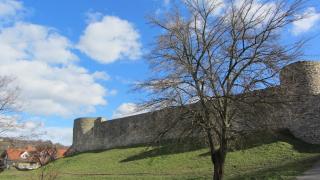 IMG_3018.JPG
