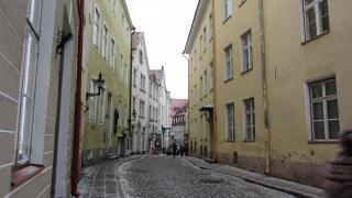 IMG_4811.JPG