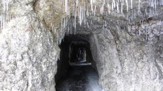 IMG_7187.JPG
