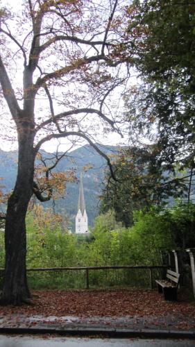 IMG_4637.JPG