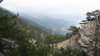 IMG_20100.JPG