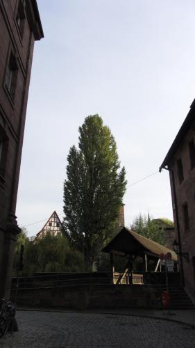 IMG_6137.JPG