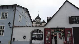 IMG_4786.JPG