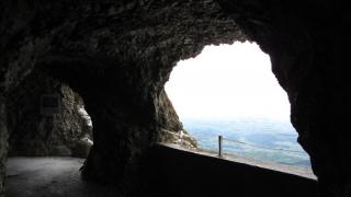 IMG_7193.JPG