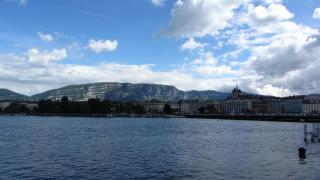 IMG_7826.JPG