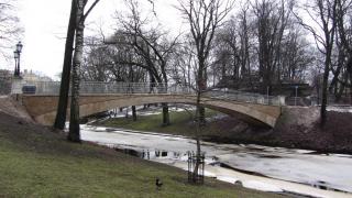 IMG_4590.JPG