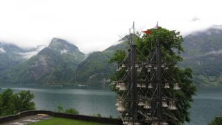 IMG_6980.JPG