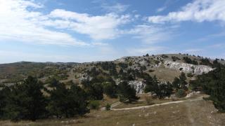 IMG_19999.JPG