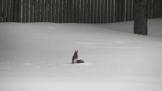 IMG_5567.JPG