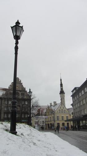 IMG_7100.JPG