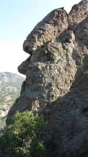 IMG_19455.JPG