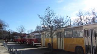 IMG_3481.JPG