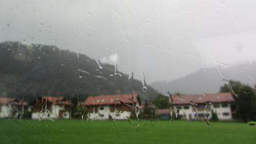 IMG_4478.JPG