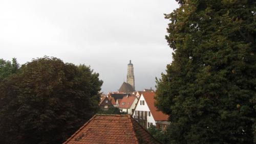 IMG_5000.JPG