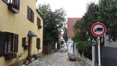 IMG_5037.JPG