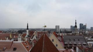 IMG_4787.JPG