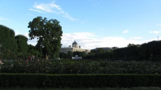 IMG_6522.JPG