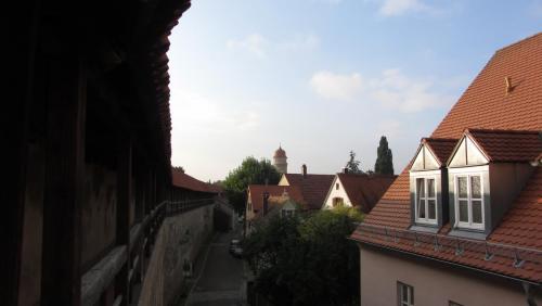 IMG_4979.JPG