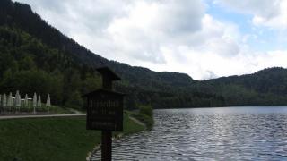 IMG_8350.JPG