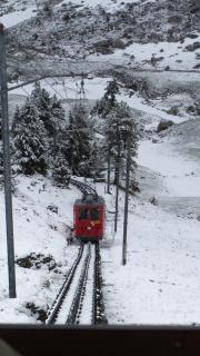 IMG_7146.JPG