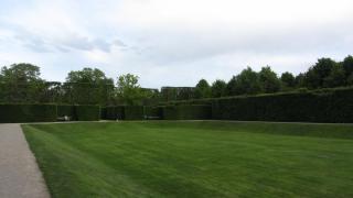 IMG_6503.JPG