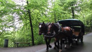 IMG_8367.JPG