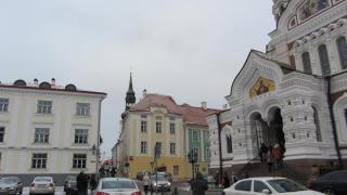 IMG_4771.JPG