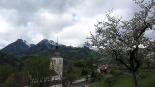 IMG_7524.JPG