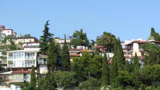 IMG_19810.JPG