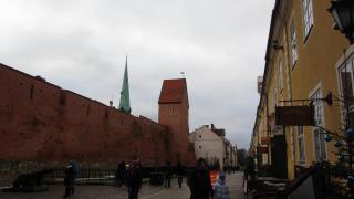 IMG_4601.JPG