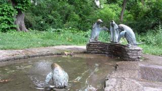 IMG_6385.JPG