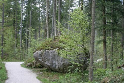 IMG_18370_смотровая 2.JPG