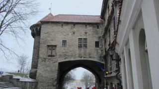 IMG_4871.JPG