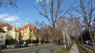 IMG_2720.JPG