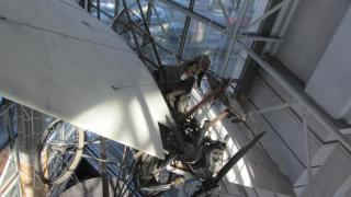 IMG_3553.JPG