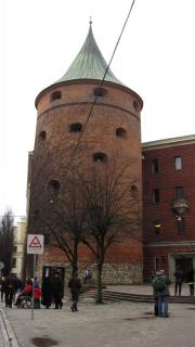 IMG_4599.JPG