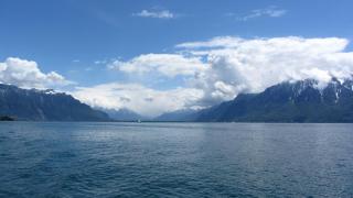 IMG_7742.JPG