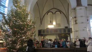 IMG_4521.JPG
