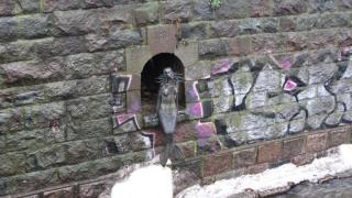 IMG_4175.JPG