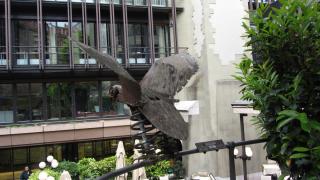 IMG_7843.JPG