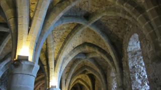 IMG_7594.JPG