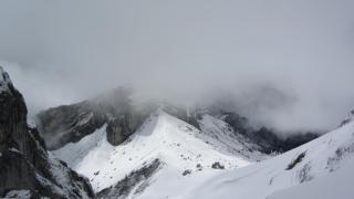 IMG_7163.JPG