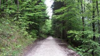 IMG_8419.JPG
